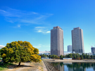 東京都　台場公園とタワーマンション