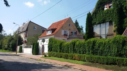 country house with trees