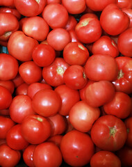 Ripe tasty red tomatoes at baazar.