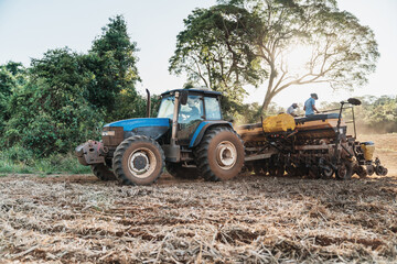 Farmer drives a tractor on a sunny summer day
