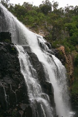 Obraz premium waterfall in the forest