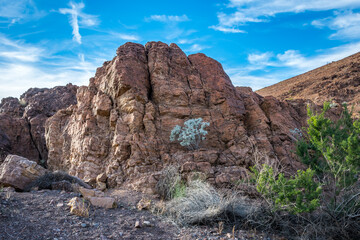 An overlooking view of nature in Yuma, Arizona
