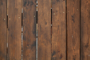 Fototapeta premium tree texture