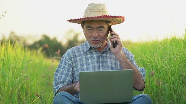senior caucasian man farmer using computer laptop check price of rice from internet in her paddy field