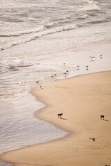 footprints on the beach
