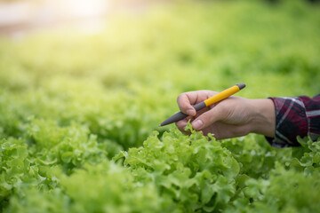Hydroponics vegetable farm. Young asian woman smile harvesting vegetables from her hydroponics farm. Concept of growing organic vegetables and health food.