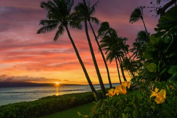 Fototapeten Sunset in Hawaii with yellow flowers © jdross75