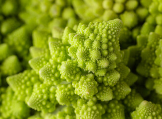 Broccoli Romanesko. Fresh cabbage. Macro, close-up photo.