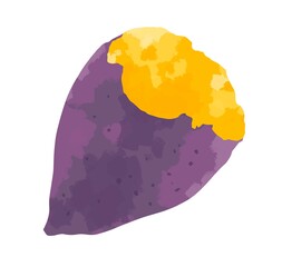 ホクホクで美味しそうなサツマイモのイラスト