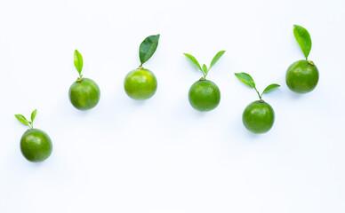Limes with leaves isolated on white.