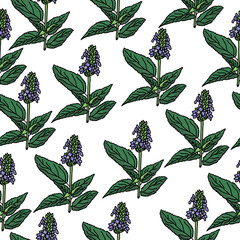 Blooming chia plant seamless pattern, plant with wide green leaves and small purple flowers, vector illustration