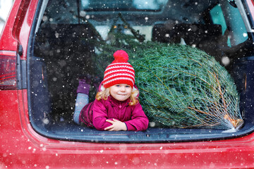 Adorable little toddler girl with Christmas tree inside of family car. Happy healthy baby child in winter fashion clothes choosing and buying big Xmas tree for traditional celebration. © Irina Schmidt