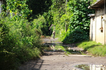 Camino