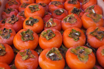 Background of ripe persimmons. Persimmon fruits are sold in the market. Persimmon is a delicious and healthy fruit. Fig persimmon close-up lies in rows.