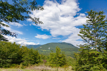 Mountain green peaks against the blue sky with clouds, in the foreground grows green shrubs and trees, use as a background or texture
