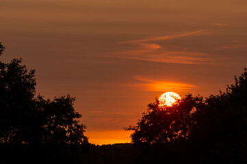 Evening landscape with sunset on the background of the forest