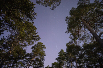 Landschaft bei Nacht