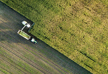 Ackerbau - Luftaufnahme von der Silomaisernte auf dem Feld, landwirtschaftliches Symbolfoto.