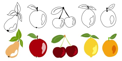 Fruit drawn icons vector set. Illustration of colored and monochrome fruits for design farm product, market label or colored page for kids