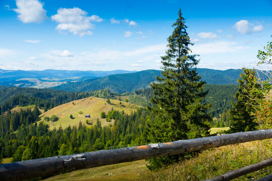 Bukovina Bilder – Durchsuchen 8,775 Archivfotos, Vektorgrafiken und ...