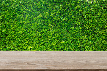 Wooden decking with space for placement of advertising materials. And has a natural green leaf background wall