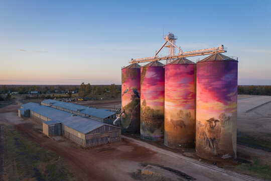 Thallon Grain Silos mural 'The watering Hole' and surrounds at Dawn. Artists Joel Fergie and Travis Vinson. 