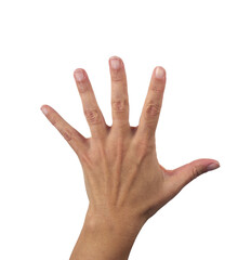 Open female hand showing all five fingers, isolated on a white background