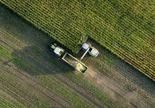 Ackerbau - Luftaufnahme von der Silomaisernte auf dem Feld, landwirtschaftliches Symbolfoto.