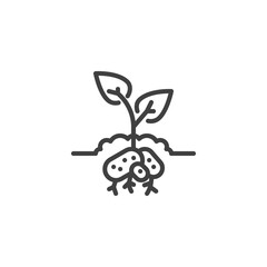 Potatoes plant line icon. linear style sign for mobile concept and web design. Potatoes growing underground outline vector icon. Symbol, logo illustration. Vector graphics