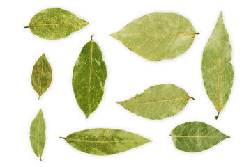 Fototapeta premium Bay leaf isolated on the white background