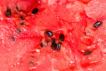 Fresh juicy watermelon against natural green background