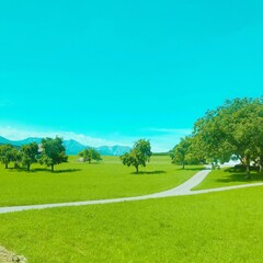 landscape with green grass