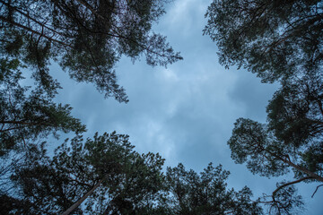 Landschaft im Herbst