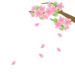 桜イラスト素材
