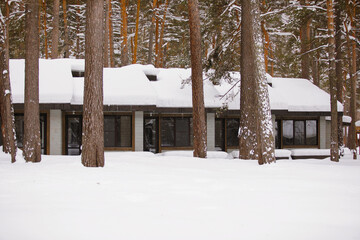 A wooden house in a snowy forest
