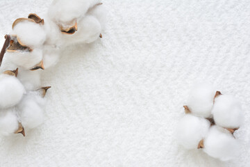 綿花　タオル　コットン100％　　
