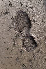 wet and sticky mud with shoe print