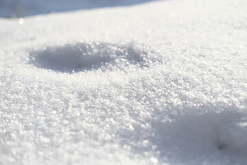 Fototapeta na wymiar Fresh snow texture. Winter background. cold day outdoors. sunny snowdrifts