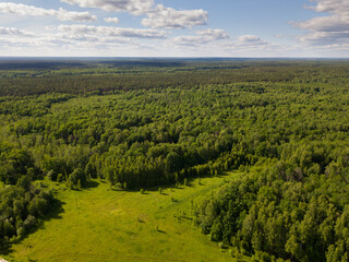 Aerial view of picturesque forest landscape in central Russia on summer day.