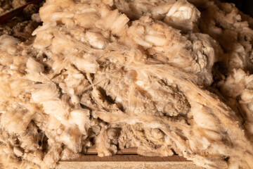sheep fleece, Old shearing shed