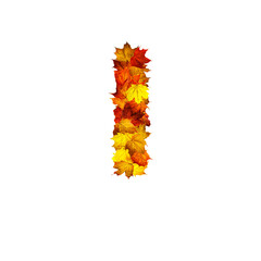 Colorful autumn leaves isolated on white background as letter i.