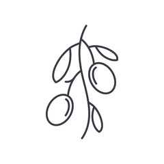 Olive icon, linear isolated illustration, thin line vector, web design sign, outline concept symbol with editable stroke on white background.
