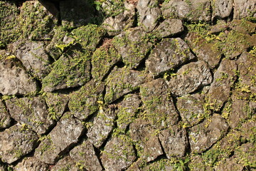 苔生した古い石垣