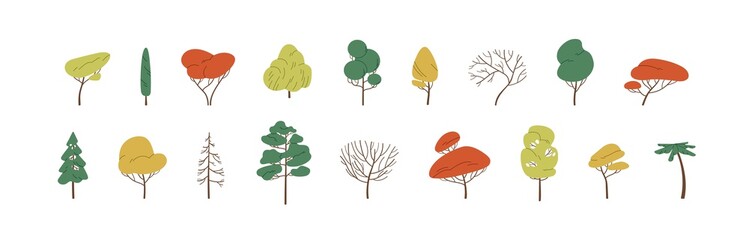 Set of deciduous and evergreen forest plants. Botanical collection of bare trees and ones with leaves and lush yellow, green and orange crowns. Colorful flat vector illustration on white background