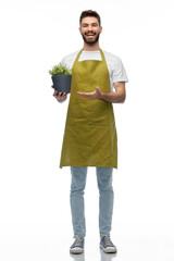gardening, floristry and people concept - happy smiling male gardener in apron with flower in pot...