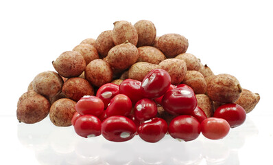 Bambara Groundnut on white background