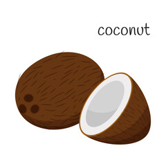 Coconut whole and half. Tropical, exotic fruit icon. Nut. Flat design. Color vector illustration isolated on a white background