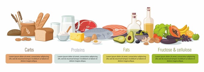 Main food groups - macronutrients. Carbohydrates, fats, proteins and fructose. Vector infographic - 397749053