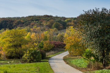 beautiful bike path in a colorful autumn landscape