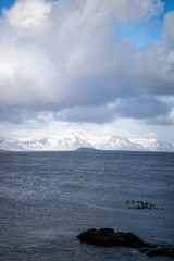 Landscape of snowy mountains and sea in Iceland on a cloudy day